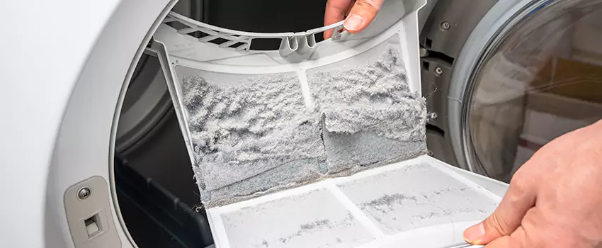 Best Dryer Lint Removal Company in Johnston, Iowa