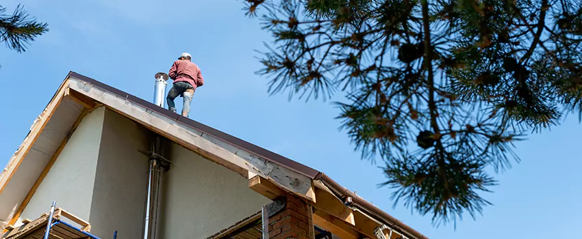 Birds Removal Contractors from Chimney in Johnston, IA